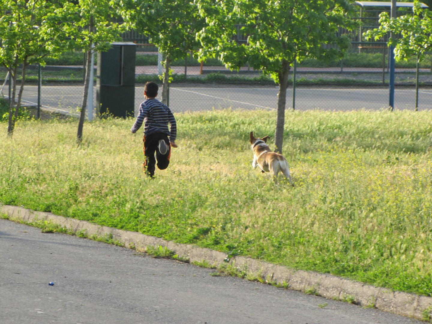 IMG_1226 (Large)
